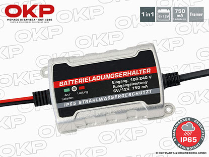 Battery Charger 6/12V 750mAh for 2 - 240 Ah Batteries