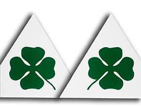 Set sticker clover leaf Corse left & right (15cm)