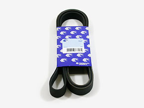 Poly-V belt 2,0 TS 16V (with aircondition)